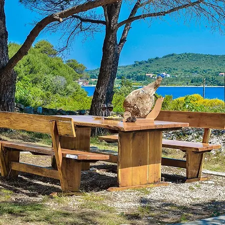 Pensjonat Sakarun Veli Rat