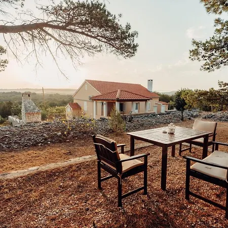 Sakarun ולי ראט
