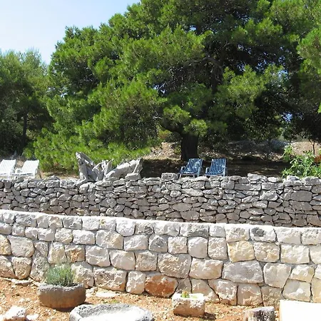 Sakarun ולי ראט